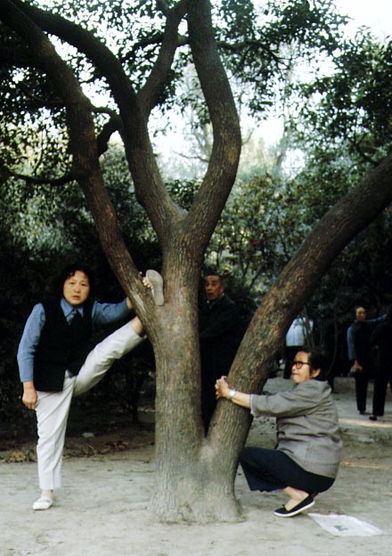 taichi, two women by a tree, china, shanghai