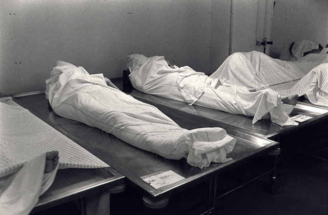 Dead bodies in the morgue