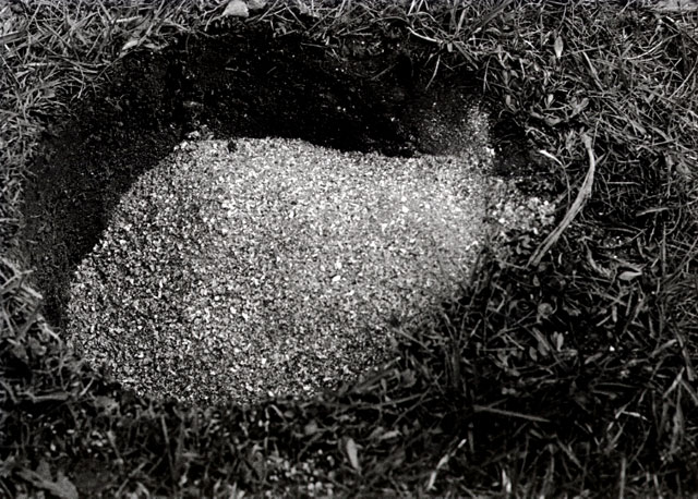 Ashes buried in the ground