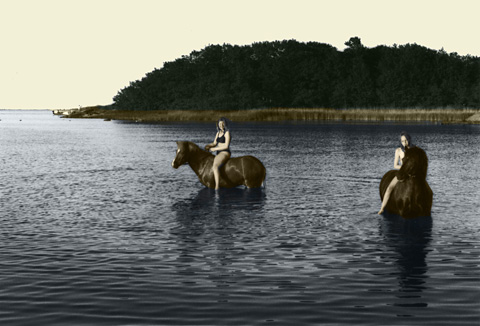 Girls riding on horses in Stockholm archipelago, in the water