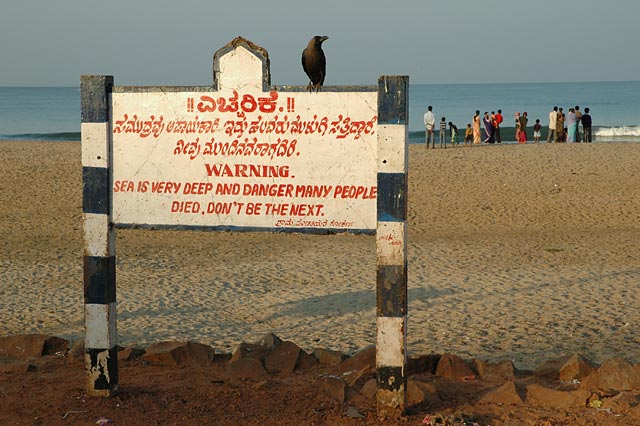 crow sitting on a sign warning that the sea is dangerous, many people die, don´t be the next