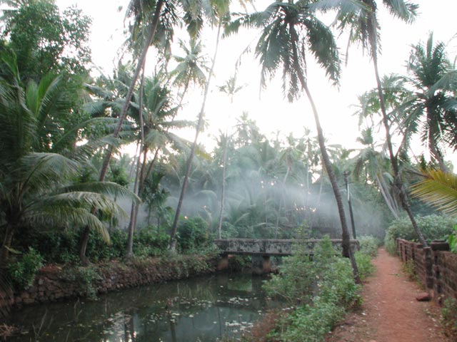 The beautiful creek is in fact part of the sewage system of the whole town, the smoke comes from one of the houses