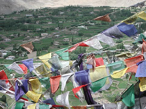 Ladakh leh tibetan monastery prayer flags