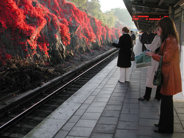 Red autum leaves woman in red subway passangers reading newspapers