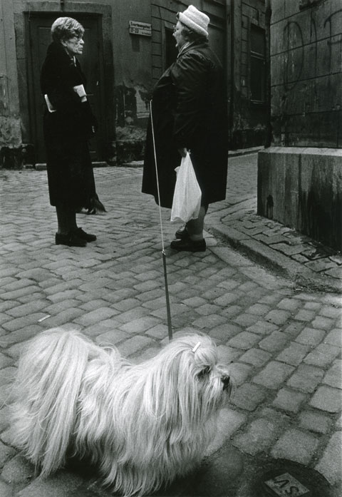 two women and a white Lhasa Apso in Gamla Stan, The Old Town Stockholm