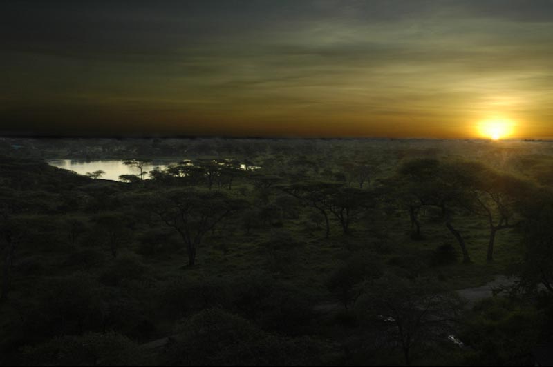 sunrise in Serengeti national park