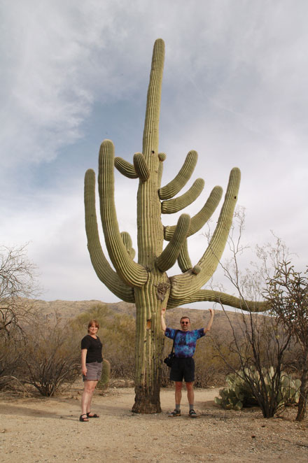 Saguaro Cactus Tucson Arizona desert many arms, a couple standing next to the huge sagaro cactus
