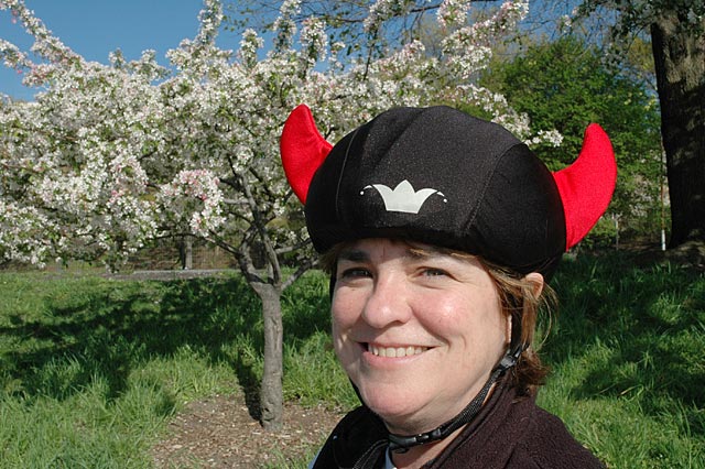devil helmet cherry blossoms