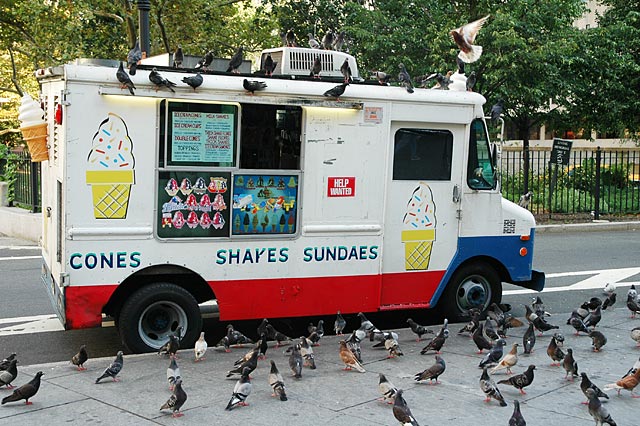 Pigeons surrounding an ice cream vendor van. risk for salmonella?