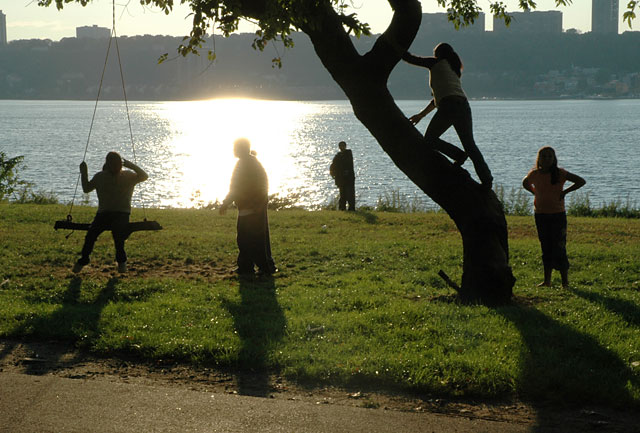 Hudson river, kids playing and klimbing in the tree and swinging. sun set