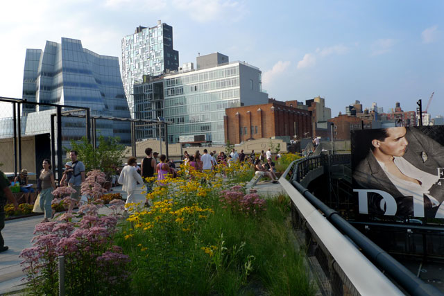 Plants and people walking on High Line, a big ad and tall buildings in the background